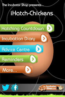 iHatch-Chickens(圖1)-速報App