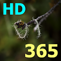 聖書の詩365 HD logo