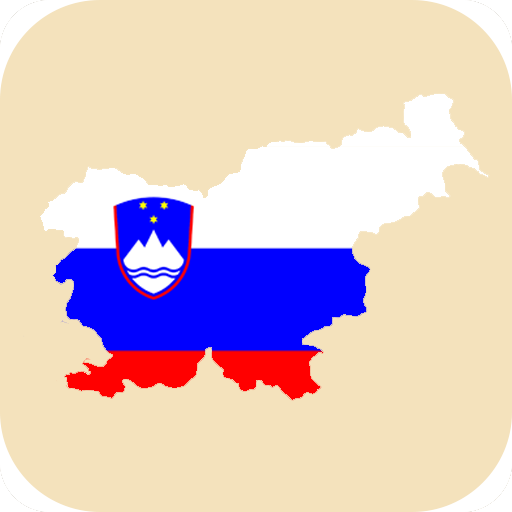 Mesta Slovenije