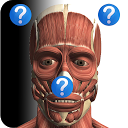 Anatomy Quiz Free mobile app icon