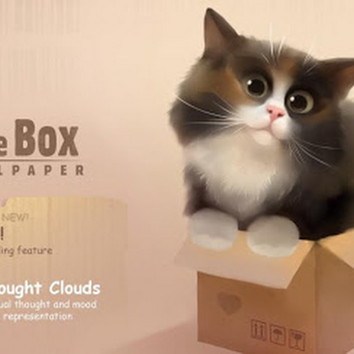 Cat in the Box APK 1.0.2