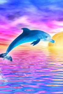 Dolphin Wallpaper 3D FREE Screenshots 6