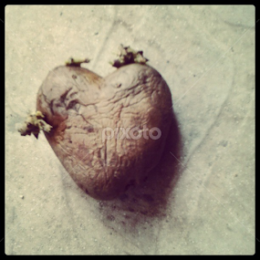 Romantic by nature by Ruxandra Palade - Food & Drink Fruits & Vegetables