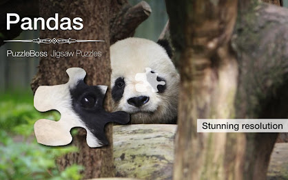 Jigsaw Puzzles: Pandas poster 5