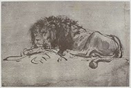Rembrandt, A Lion