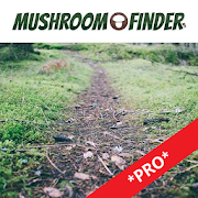 Mushroom Finder *PRO* 1.0 Icon