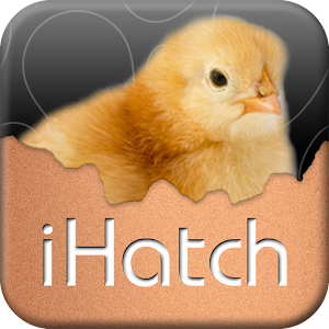 iHatch-Chickens logo