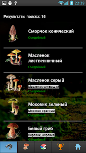 ЭкоГид: Грибы - Фото, Описание, Определитель(圖3)-速報App