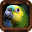Bird Sounds, Calls, Songs & Ringtones Download on Windows