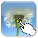 Flower In Water S3 LWP logo