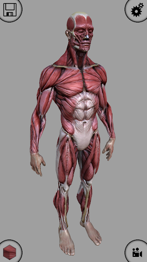 【免費教育App】MARA3D Human Anatomy Lite-APP點子