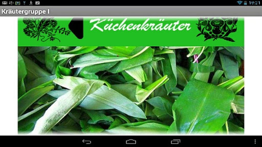 免費下載健康APP|Küchen-Kräuter (Deutsch) app開箱文|APP開箱王